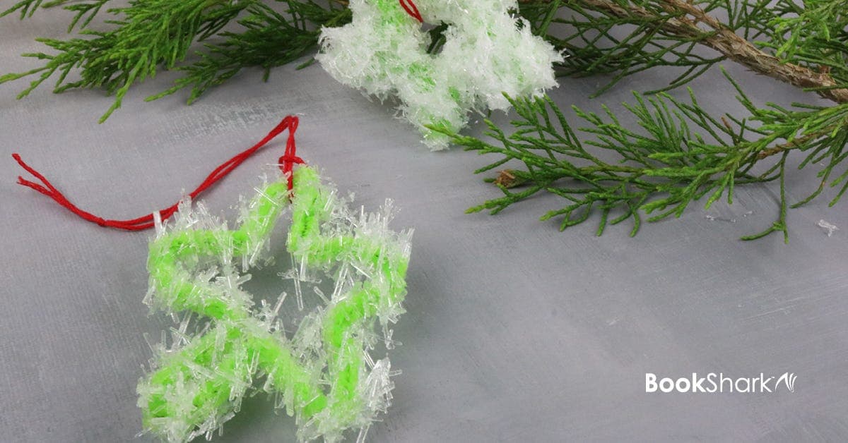 How to Make Epsom Salt Crystal Ornaments